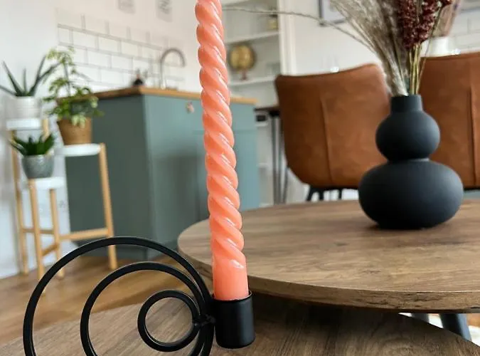 Apartment Gruene Strasse 1 *